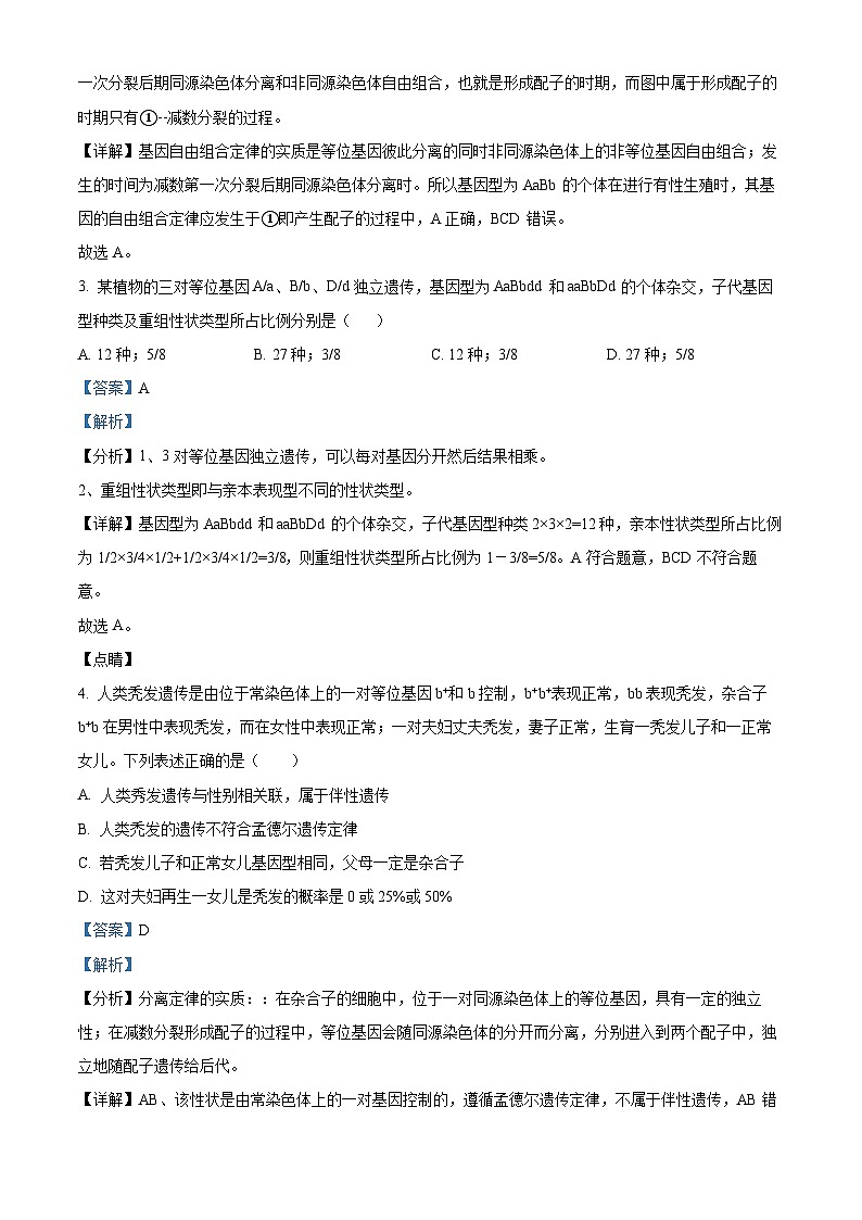 福建省厦门第一中学2023-2024学年高一下学期4月期中生物试题（Word版附答案）02