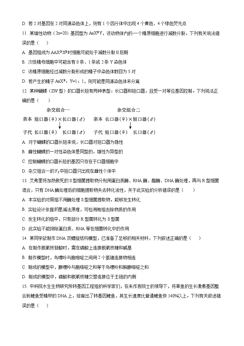 福建省厦门第一中学2023-2024学年高一下学期4月期中生物试题（Word版附答案）03