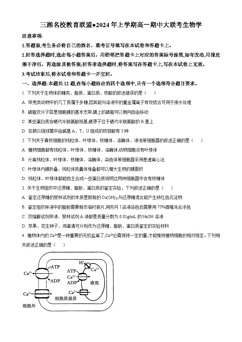 湖南省名校联考联合体2023-2024学年高一下学期4月期中考试生物试卷（Word版附解析）01
