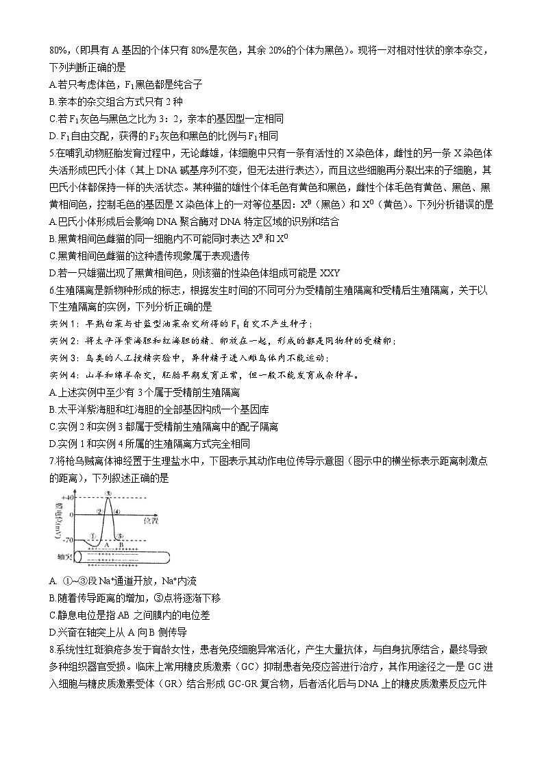 湖南省岳阳市2024届高三下学期三模生物试卷（Word版附答案）第2页