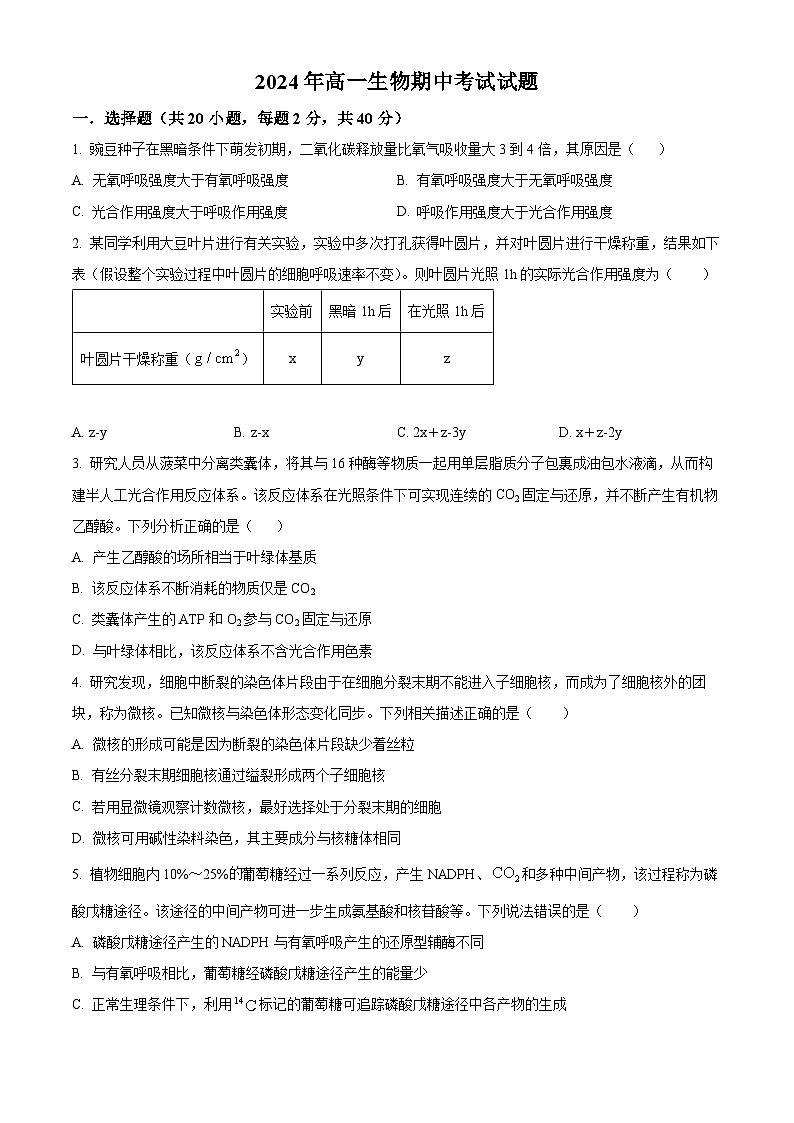 湖南省岳阳市岳阳县第一中学2023-2024学年高一下学期4月期中考试生物试卷（Word版附解析）01