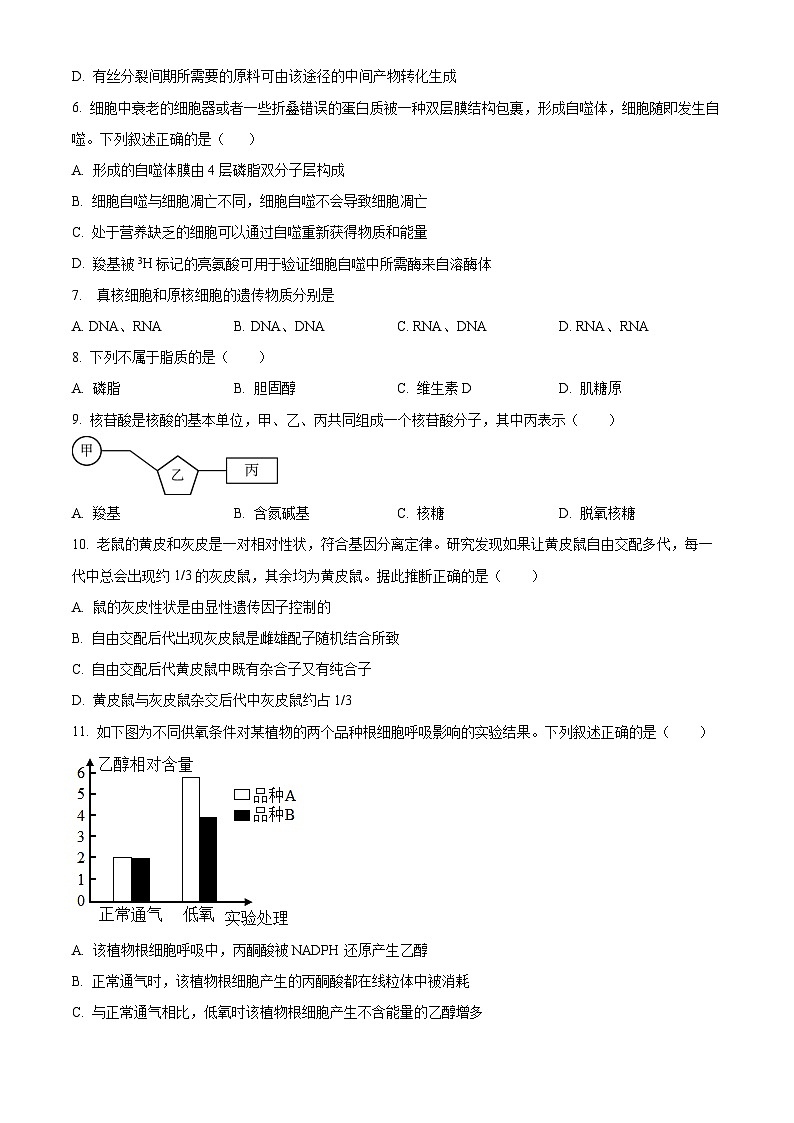 湖南省岳阳市岳阳县第一中学2023-2024学年高一下学期4月期中考试生物试卷（Word版附解析）02