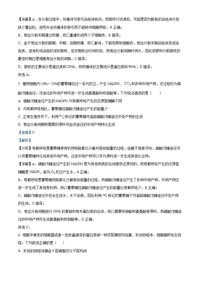 湖南省岳阳市岳阳县第一中学2023-2024学年高一下学期4月期中考试生物试卷（Word版附解析）03