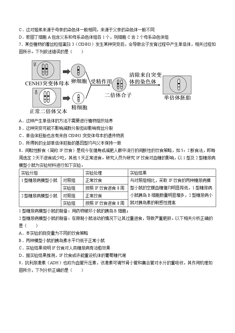 湖南省长沙市第一中学2024届高三下学期二模生物试卷（Word版附解析）第3页