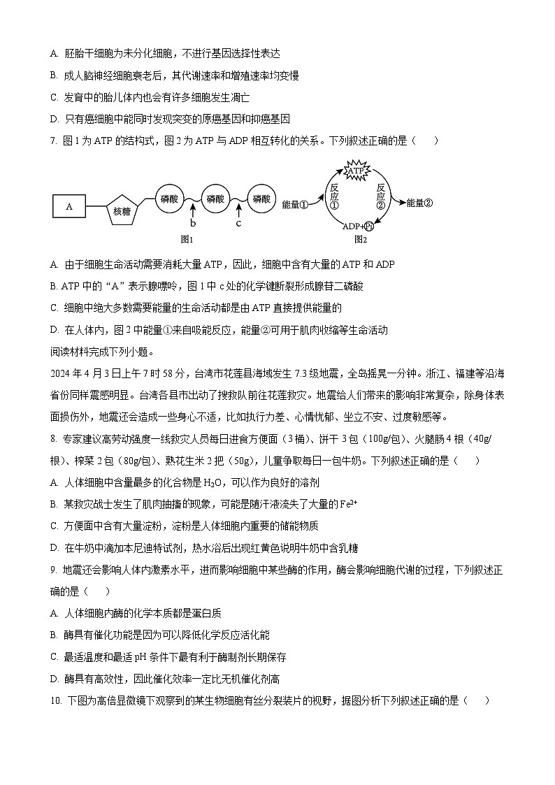 浙江省温州新力量联盟2023-2024学年高一下学期期中考试生物试题（Word版附解析）02