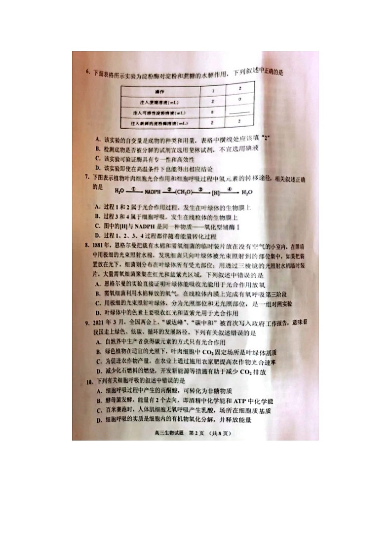 2023届吉林省吉林市高三上学期生物期中试题02