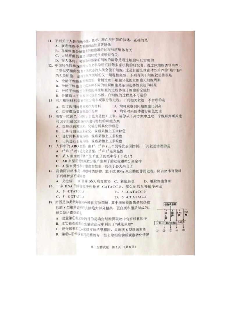 2023届吉林省吉林市高三上学期生物期中试题03