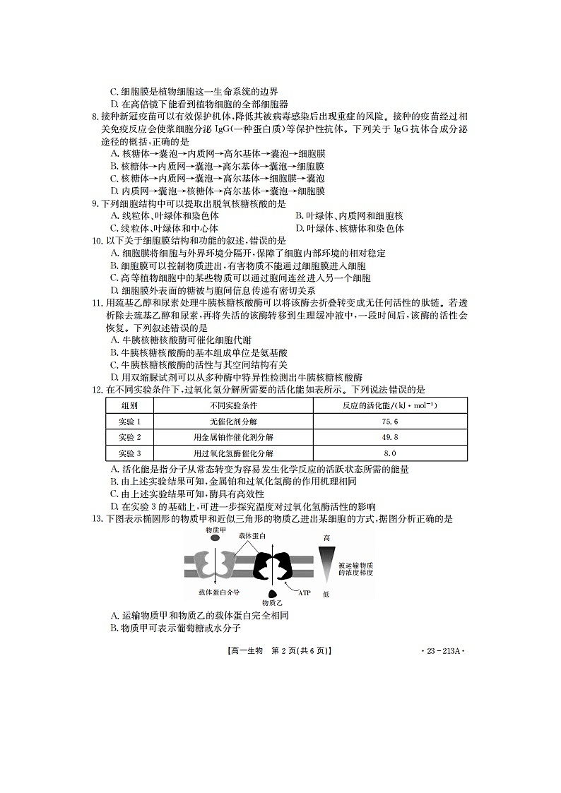 2023届河南省洛阳市孟津区第一高级中学等2校高一上学期生物12月月考试题02