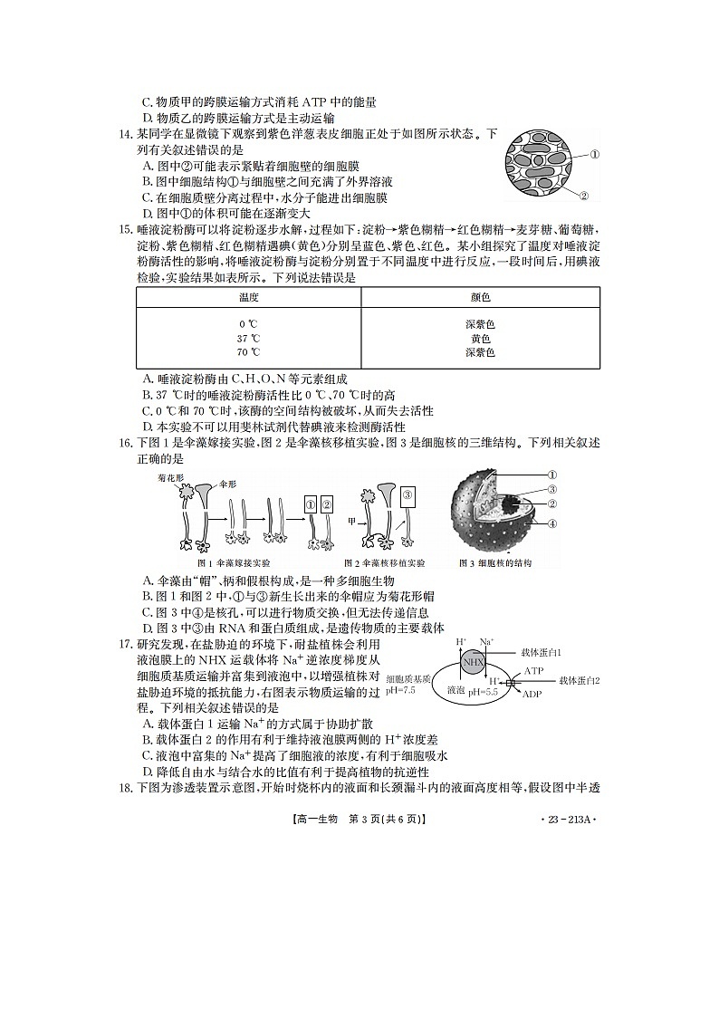 2023届河南省洛阳市孟津区第一高级中学等2校高一上学期生物12月月考试题03