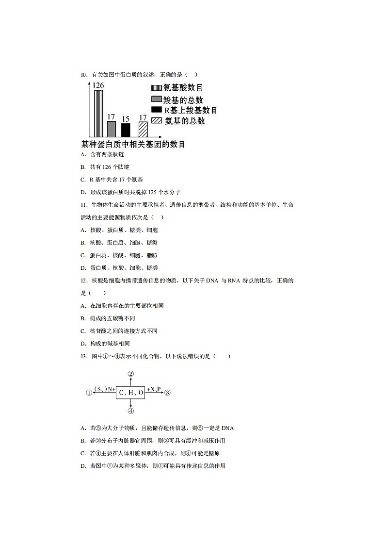 2023届河北省廊坊市安次区第八高级中学高一上学期生物期末试题03