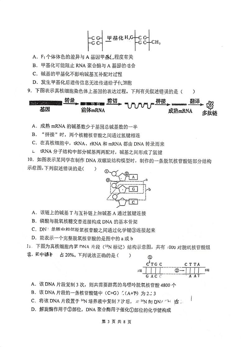 福建省厦门市思明区第六中学2023-2024学年高一下学期5月期中生物试题03