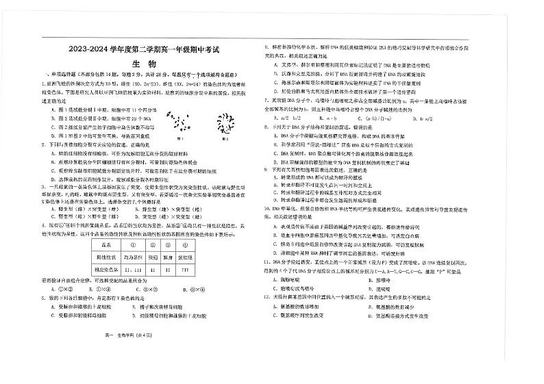 江苏省南通市海安高级中学2023-2024学年高一下学期期中考试生物试题01