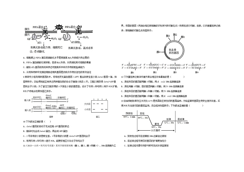 黑龙江省哈尔滨市香坊区第一二二中学校2023-2024学年高二上学期期末考试生物试题02