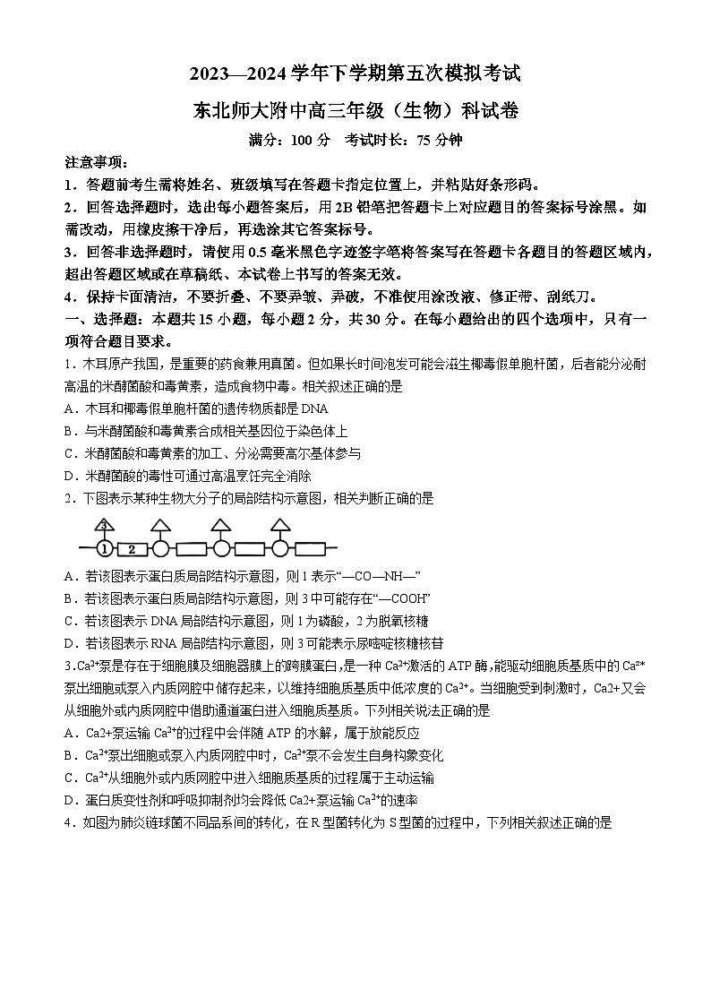 吉林省长春市东北师范大学附属中学2024届高三下学期第五次模拟考试生物试题01