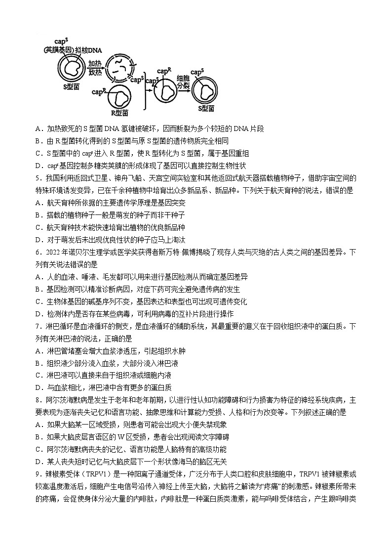 吉林省长春市东北师范大学附属中学2024届高三下学期第五次模拟考试生物试题02