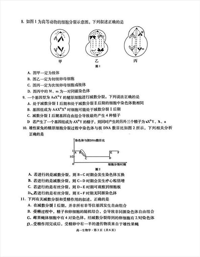 贵州省贵阳市南明区贵阳市第一中学2023-2024学年高一下学期期中生物试卷03