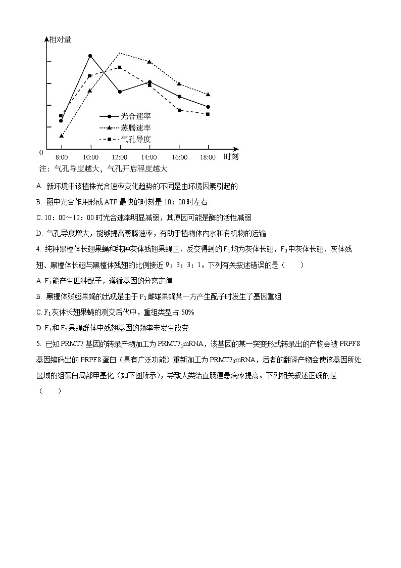 2024永州高三下学期三模生物试题含解析02