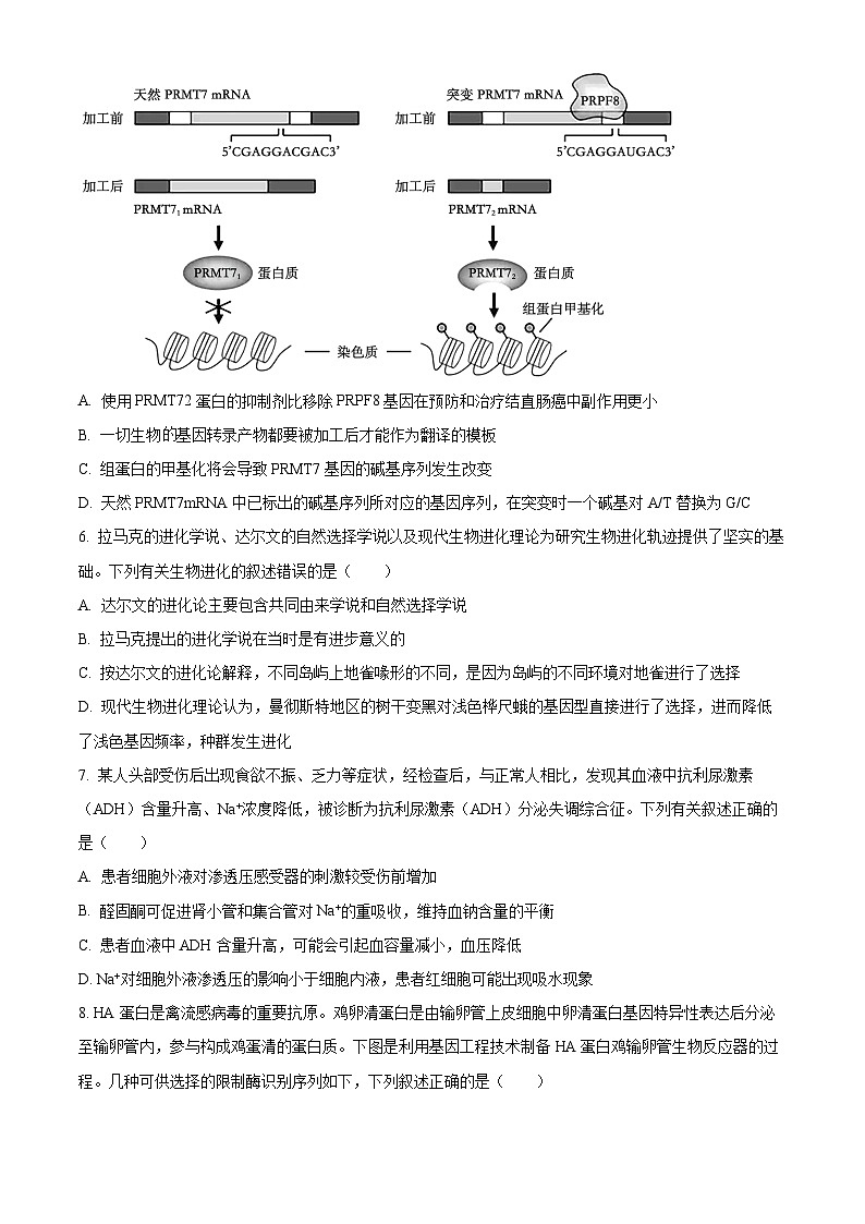 2024永州高三下学期三模生物试题含解析03