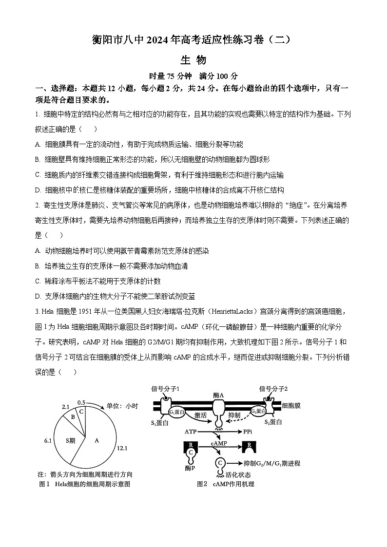 2024衡阳八中高三下学期适应性练习卷生物含解析第1页