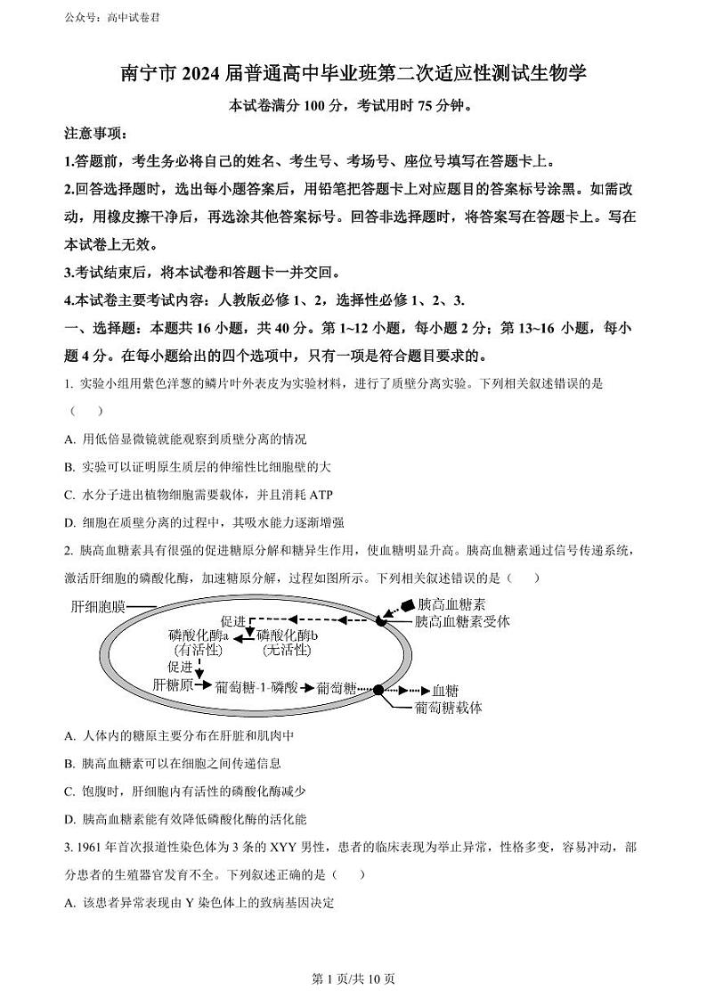 2024南宁高三下学期二模试题生物PDF版含解析01