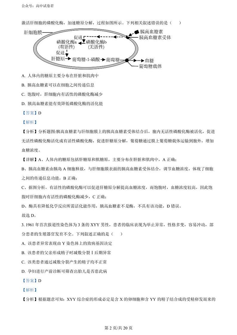 2024南宁高三下学期二模试题生物PDF版含解析02