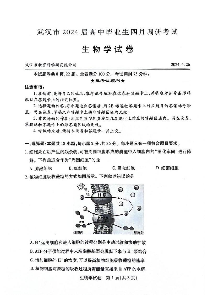 四调生物试卷第1页