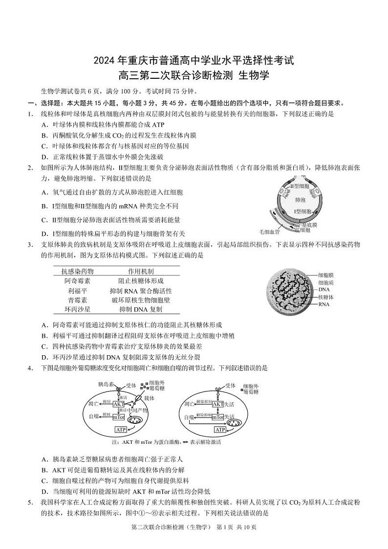 重庆市2024届高三下学期4月第二次联考诊断检测生物试题+答案第1页
