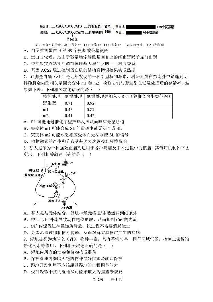 2024年哈三中高三四模生物试卷和答案第2页