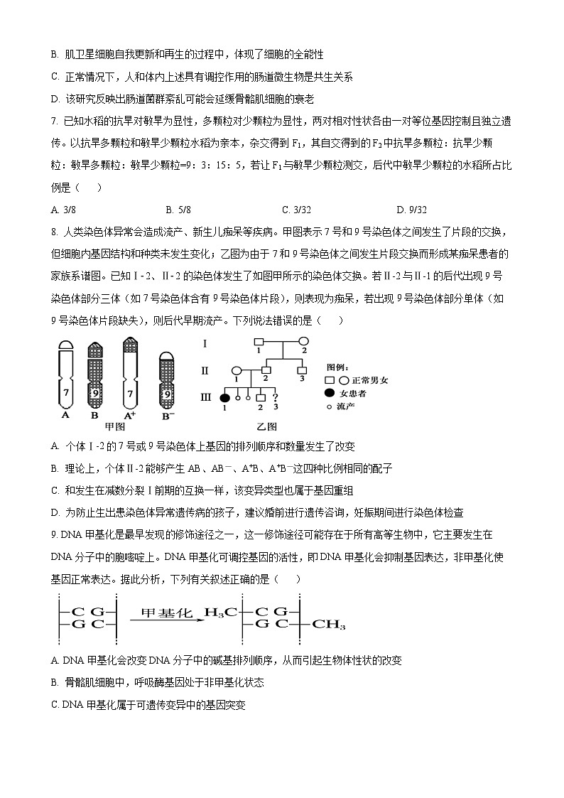 湖北省恩施州高中教育联盟2023-2024学年高二下学期期中联考生物试卷（Word版附解析）03