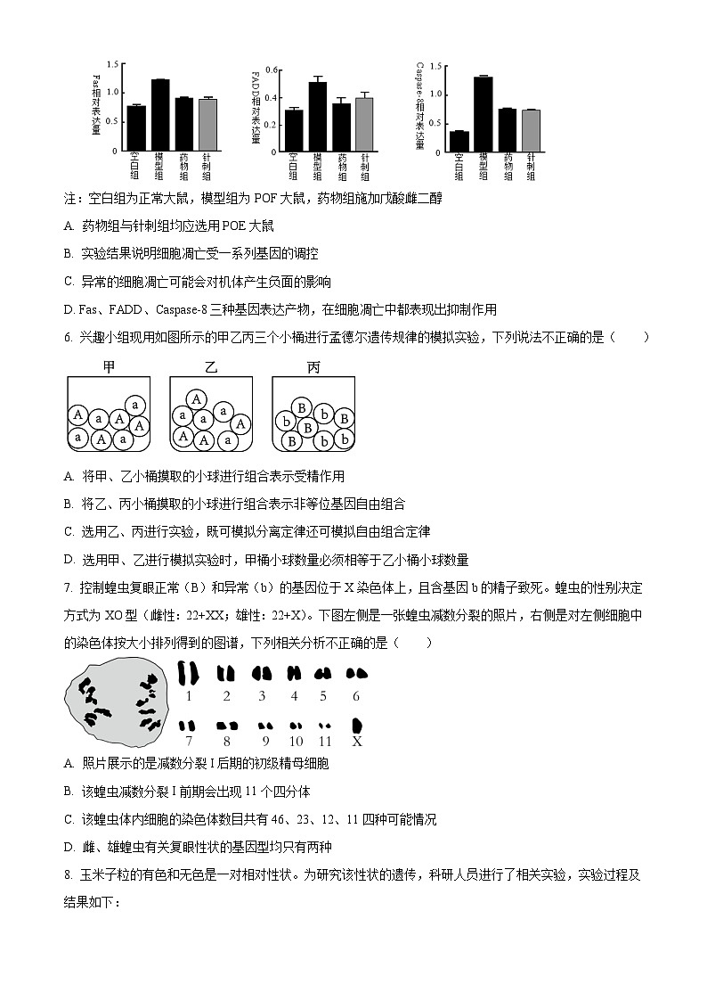 湖北省武汉市华中师范大学第一附属中学2023-2024学年高一下学期期中生物试题 Word版无答案第2页