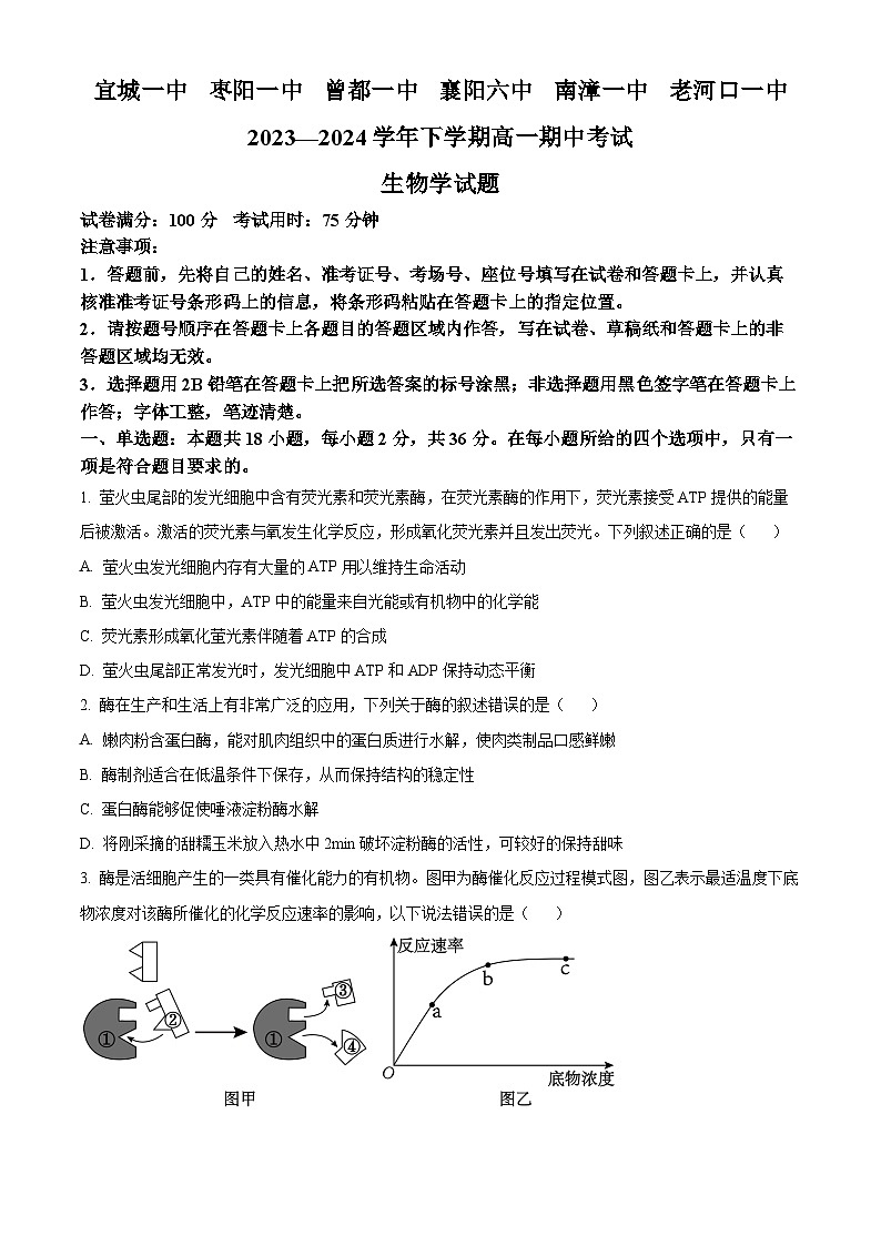 湖北省襄阳市鄂北六校联考2023-2024学年高一下学期期中生物试题 Word版无答案第1页