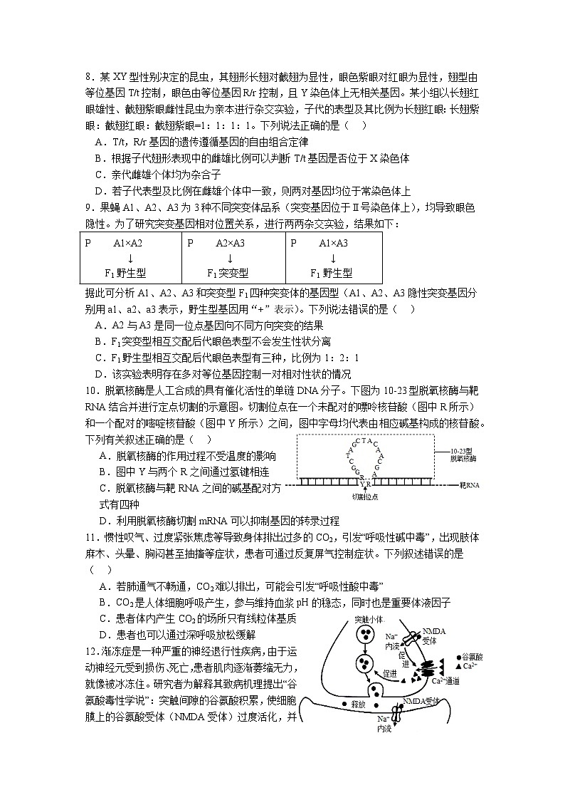 湖北省宜荆荆2024届高三下学期一模生物试题第3页