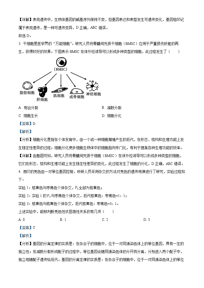 浙江省9+1高中联盟2023-2024学年高一下学期4月期中考试生物试题（Word版附解析）02