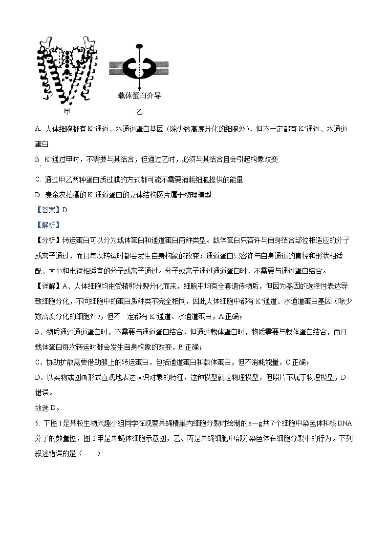 2024届重庆市九龙坡区渝西中学高三下学期模拟预测生物试题（原卷版+解析版）03