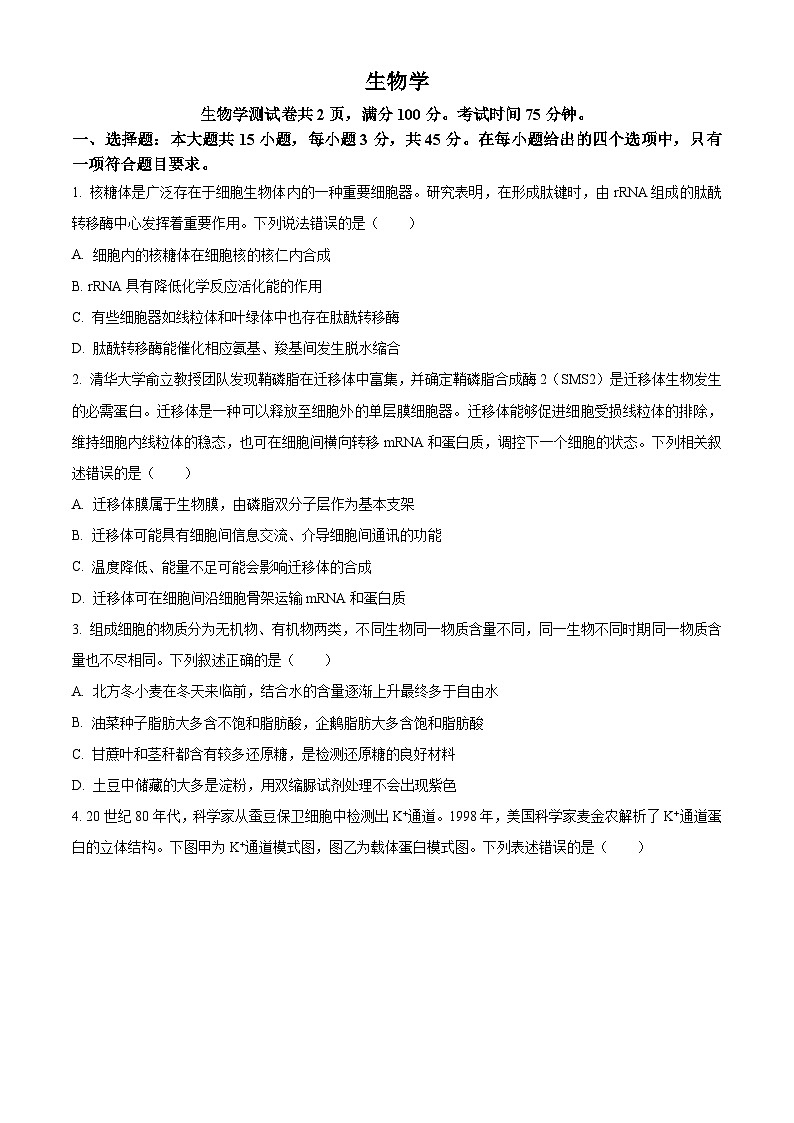 2024届重庆市九龙坡区渝西中学高三下学期模拟预测生物试题（原卷版+解析版）01