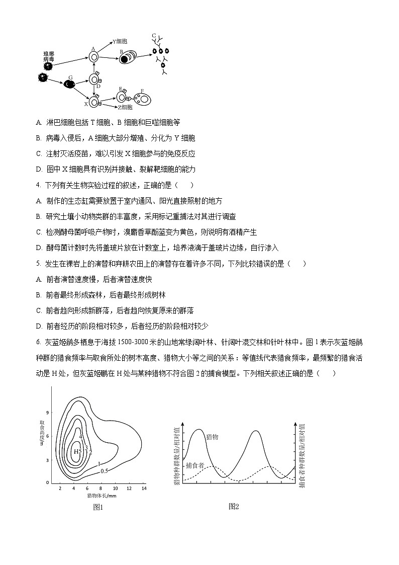 安徽省桐城中学2023-2024学年高二下学期4月联考生物试卷（原卷版）第2页