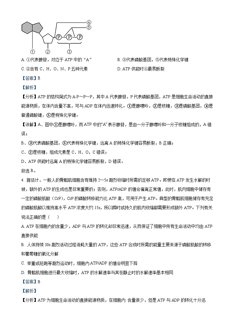 重庆市朝阳中学2023-2024学年高一下学期期中考试生物试题（原卷版+解析版）03