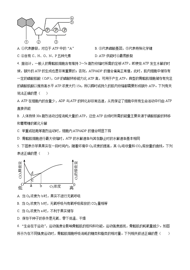 重庆市朝阳中学2023-2024学年高一下学期期中考试生物试题（原卷版+解析版）02