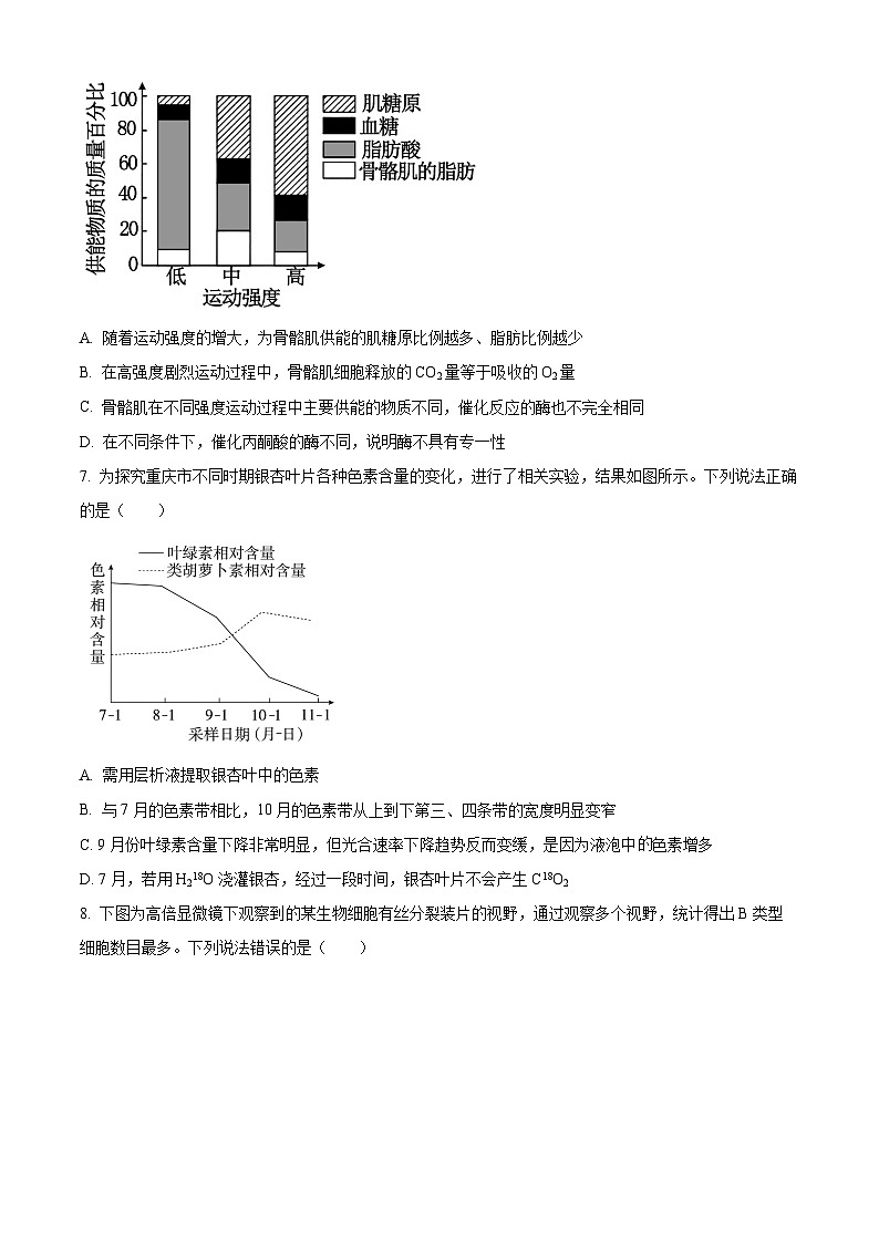 重庆市朝阳中学2023-2024学年高一下学期期中考试生物试题（原卷版+解析版）03