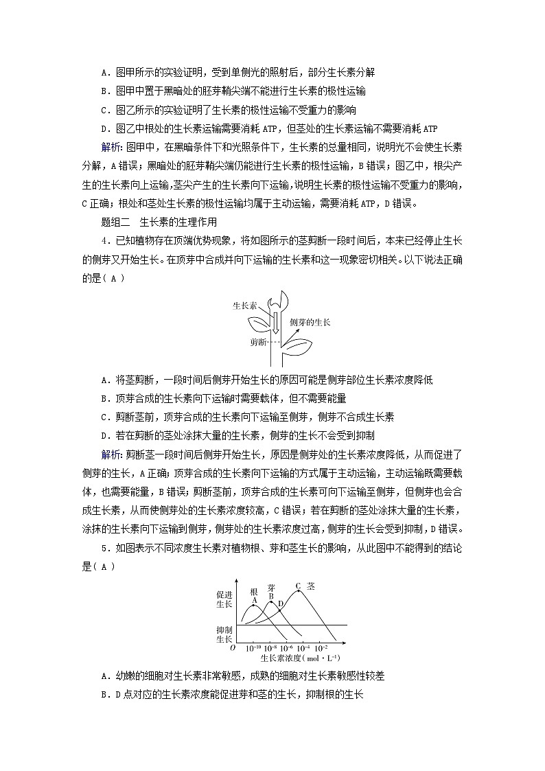 2025版新教材高中生物第5章植物生命活动的调节第1节植物生长素第2课时生长素的合成运输分布和生理作用提能作业（附解析新人教版选择性必修1）第2页