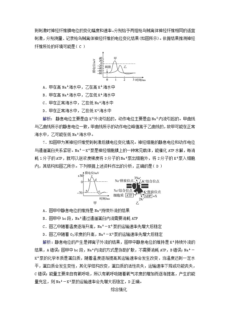 2025版新教材高中生物第2章神经调节第3节神经冲动的产生和传导第1课时兴奋在神经纤维上的传导提能作业（附解析新人教版选择性必修1）第3页