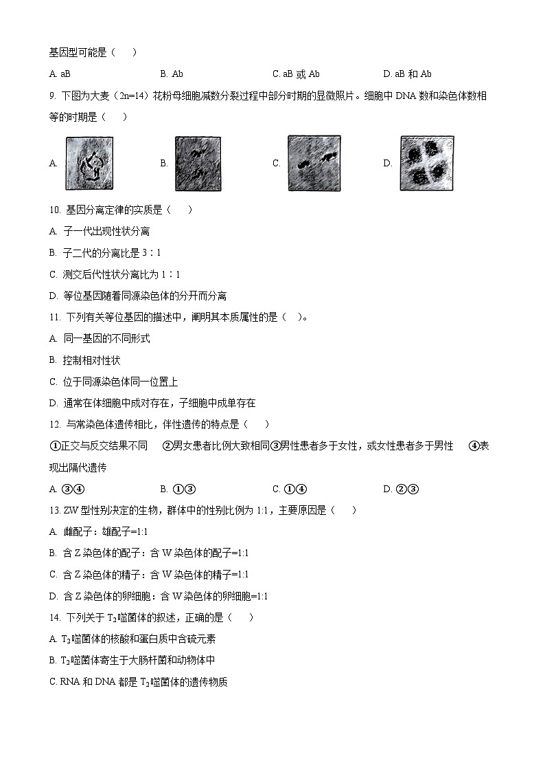 北京宏志中学2023-2024学年高一下学期期中考试生物试题（原卷版）第2页
