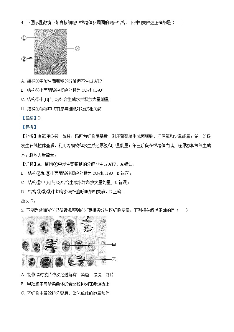 北京市顺义区第二中学2023-2024学年高二下学期期中生物试题（解析版）第3页