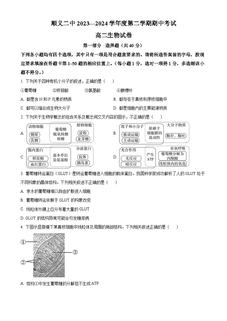 北京市顺义区第二中学2023-2024学年高二下学期期中生物试题（原卷版）第1页
