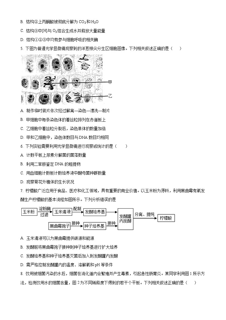 北京市顺义区第二中学2023-2024学年高二下学期期中生物试题（原卷版）第2页