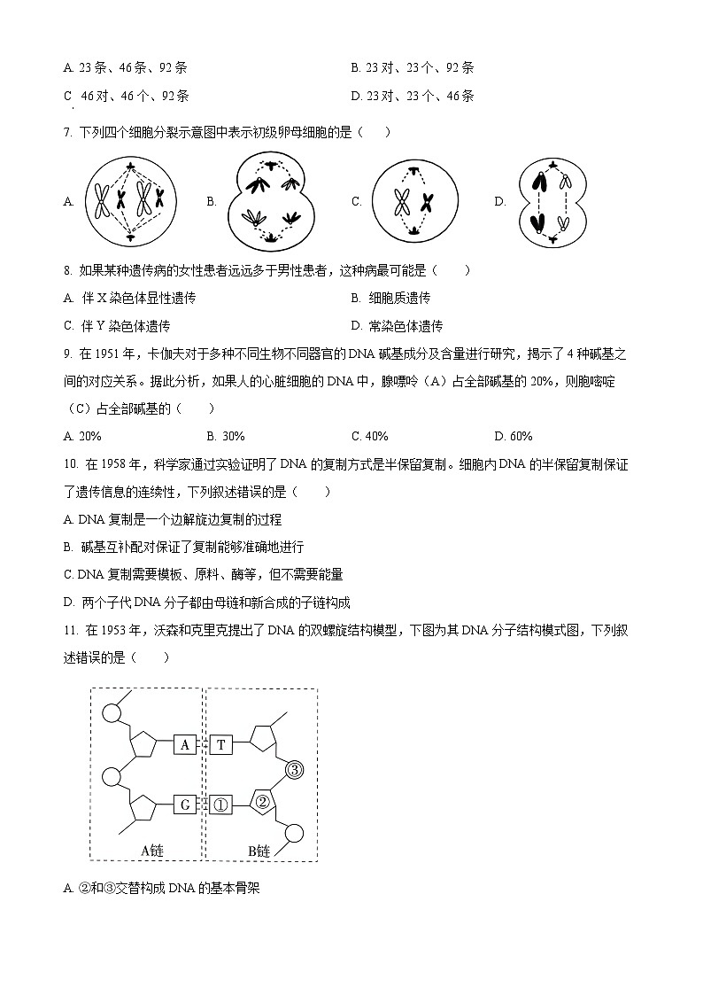 湖南省邵东市创新高级中学有限公司2023-2024学年高一下学期4月期中生物试题（原卷版）第2页