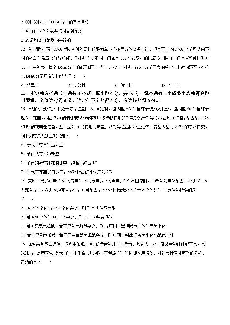 湖南省邵东市创新高级中学有限公司2023-2024学年高一下学期4月期中生物试题（原卷版）第3页