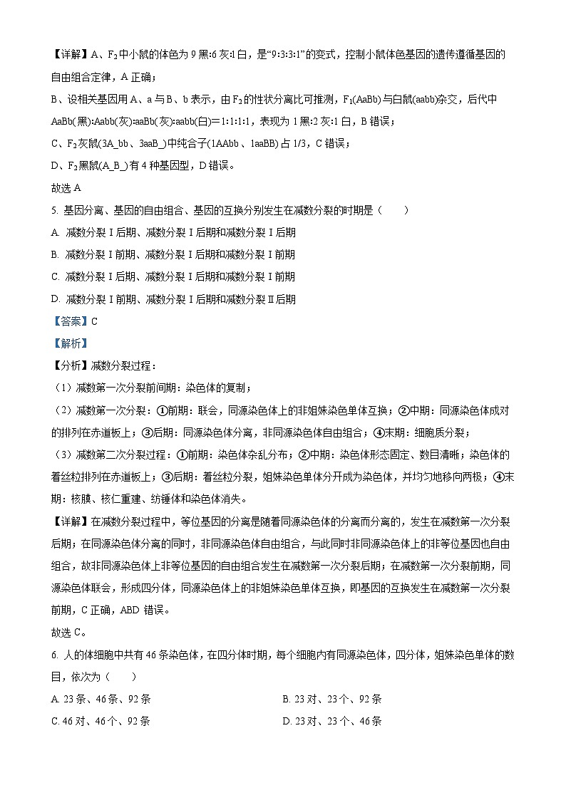 湖南省邵东市创新高级中学有限公司2023-2024学年高一下学期4月期中生物试题（解析版）第3页