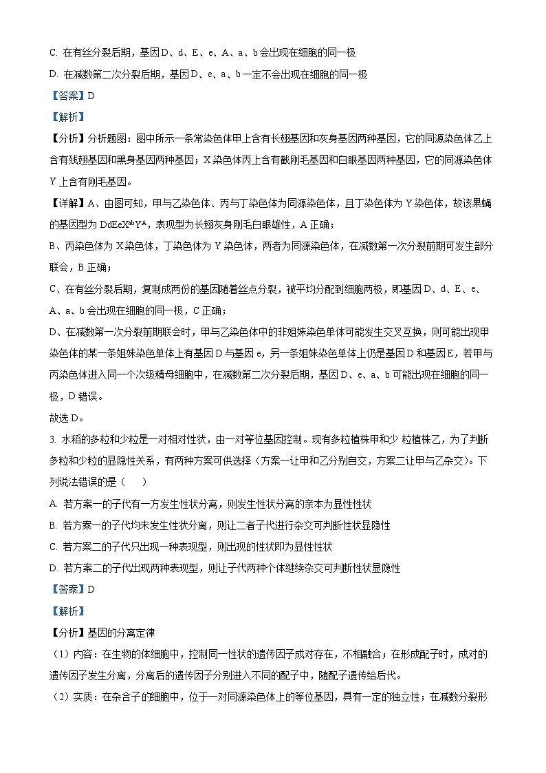 吉林省白城市洮南市第一中学2023-2024学年高一下学期4月期中生物试题（原卷版+解析版）02