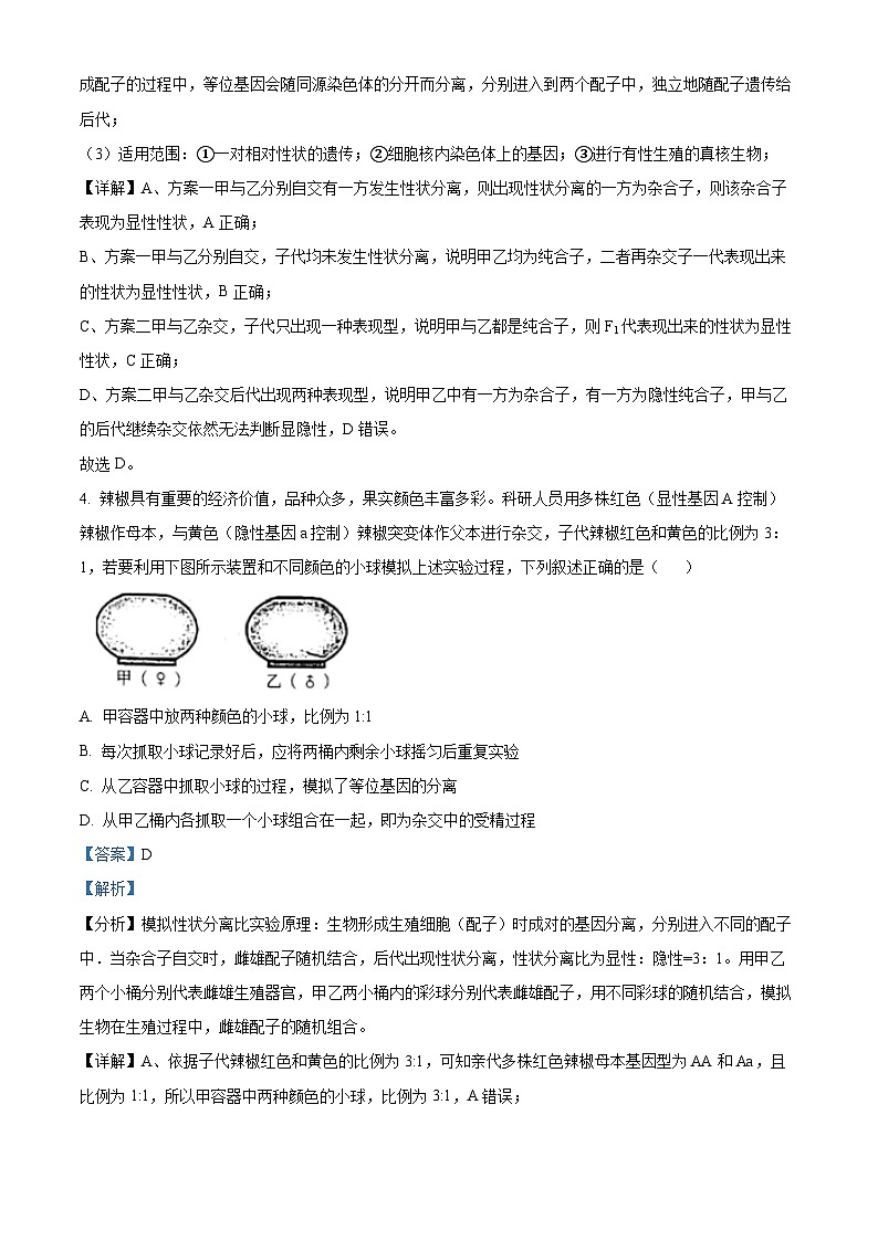 吉林省白城市洮南市第一中学2023-2024学年高一下学期4月期中生物试题（原卷版+解析版）03